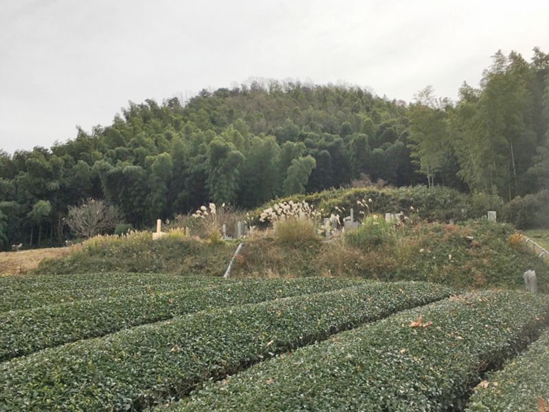 法花寺野墓地