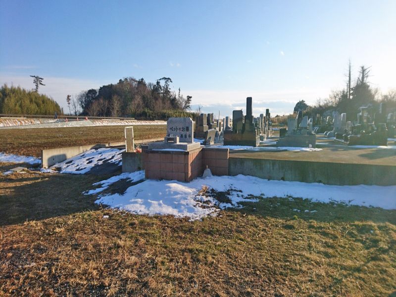 マイメモリー樹木葬 のびる