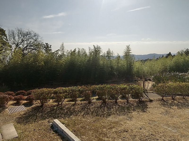 浄花墓園花ピア