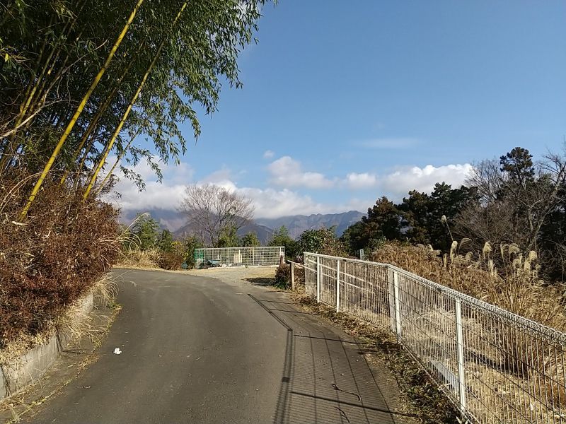 浄花墓園花ピア