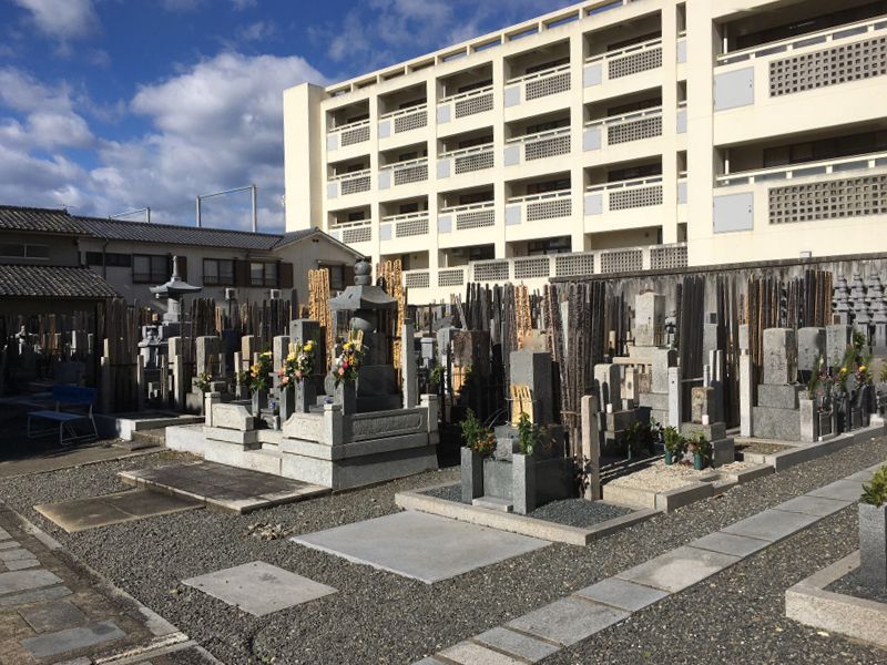 堅樹院