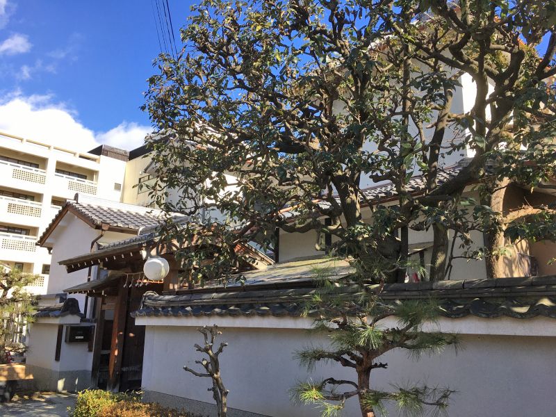 堅樹院