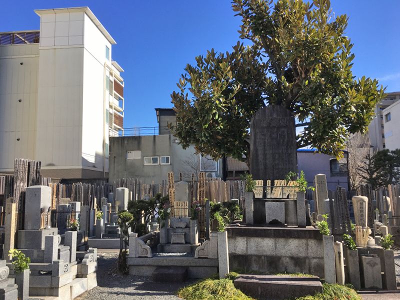堅樹院