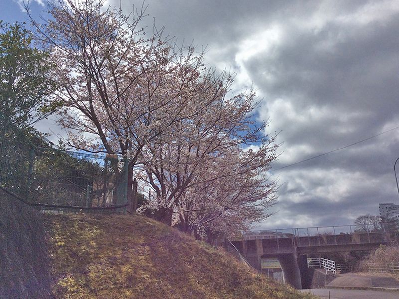 山田川霊園