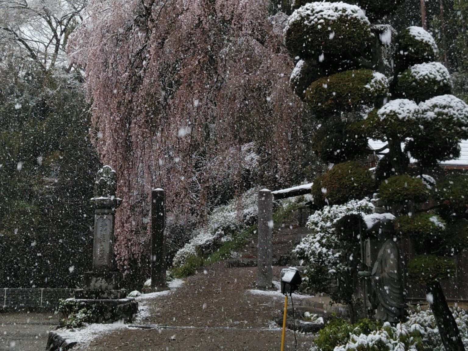 梅岩寺 青梅クラウドガーデン
