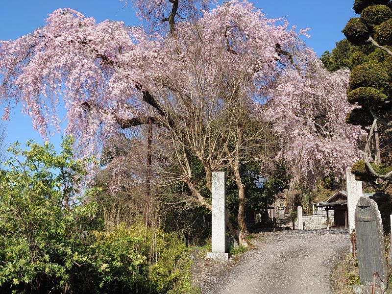 梅岩寺 青梅クラウドガーデン