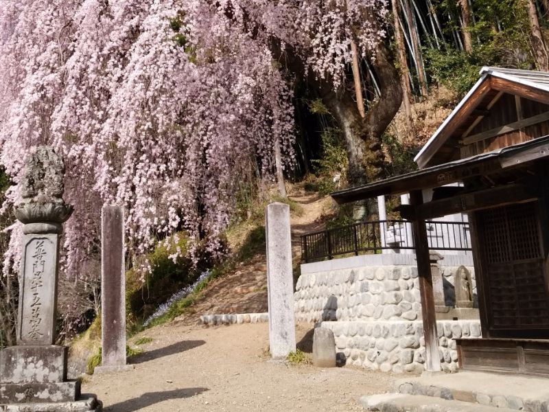 梅岩寺 青梅クラウドガーデン