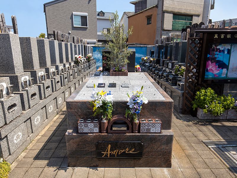 慈眼寺 町屋オリーブ樹木墓苑 ～Amore～ 樹木葬