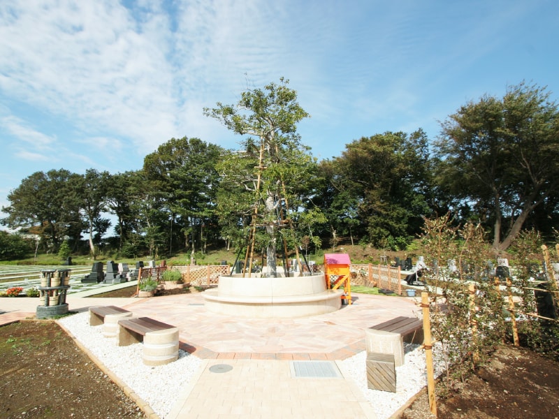 環境霊園 横浜みどりの森　木の下の休憩ベンチ