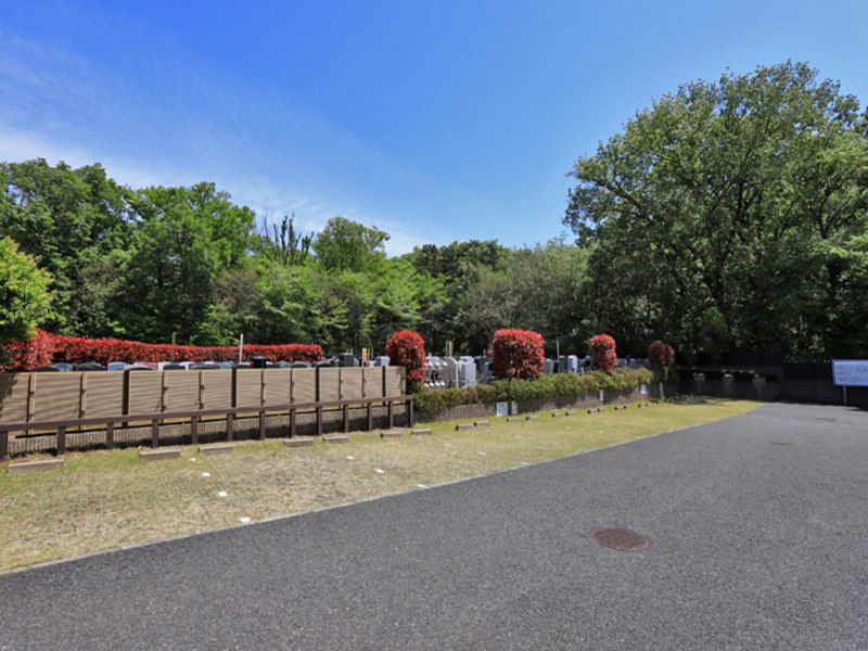 みどりの森「永遠の絆」