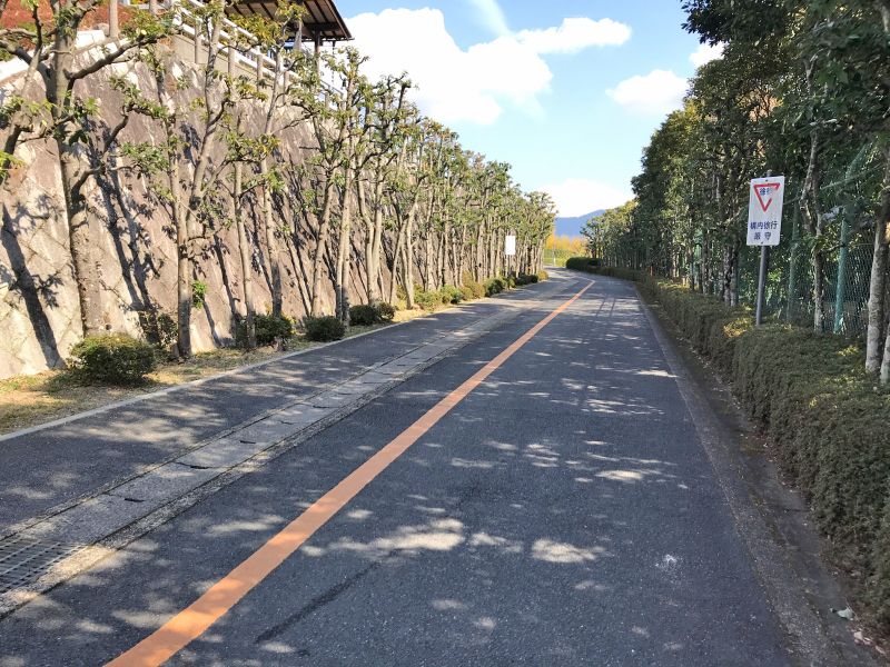 広々した園内（車道）