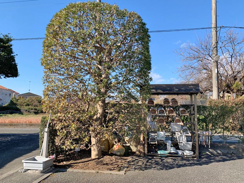 秋川観音墓苑