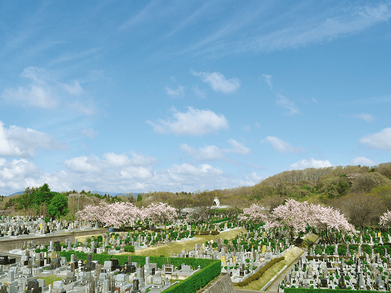 日蓮宗 寳祐山 大法寺・まや霊園　季節の花が美しい霊園全景