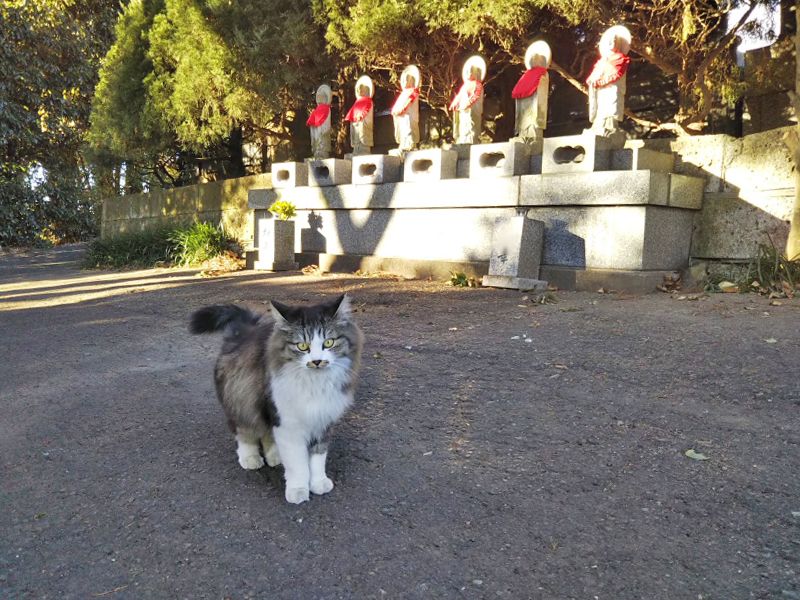 石山霊園