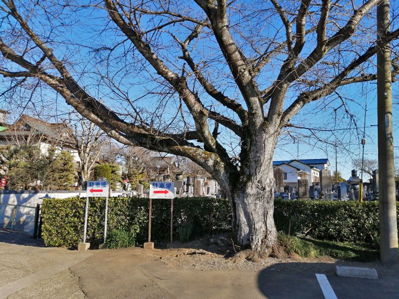 とりで台霊園