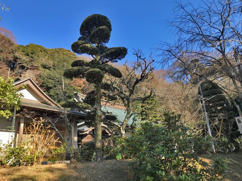 了義寺