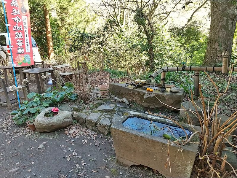 阿弥陀寺