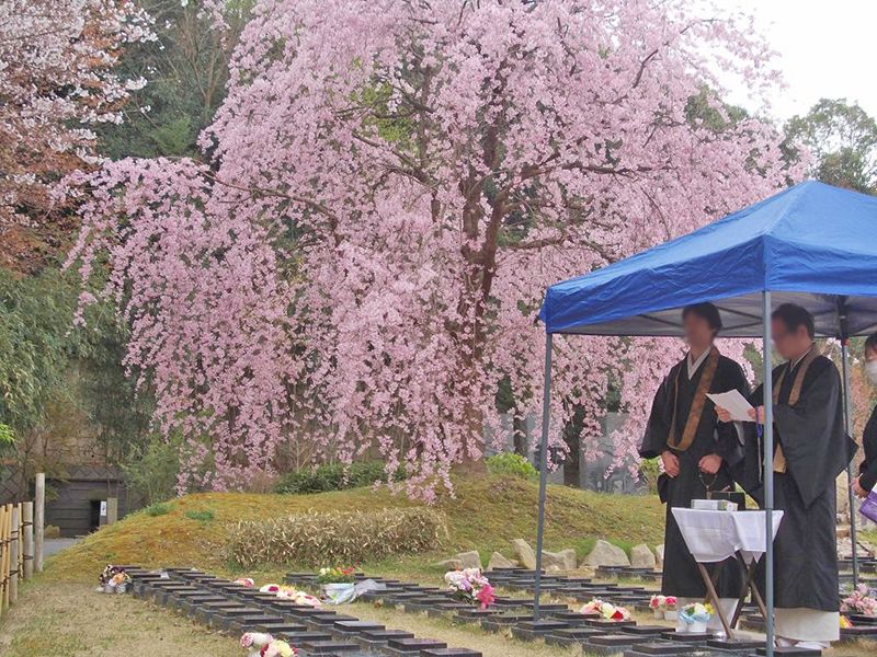京都天が瀬メモリアル公園