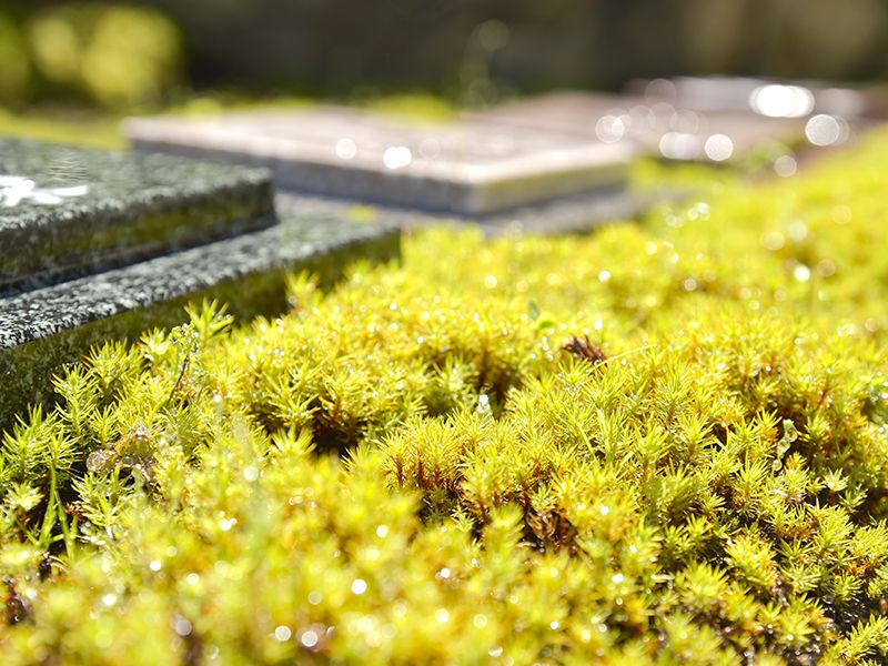 東山霊園 庭園墓 花樂苑