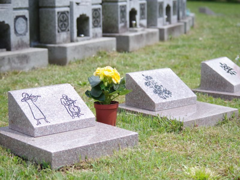 金剛宝寺 天空陵