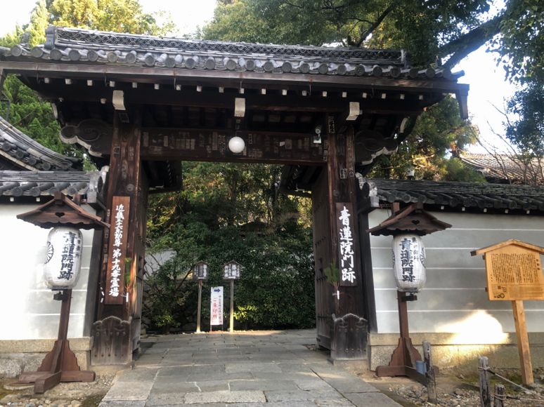青蓮院
