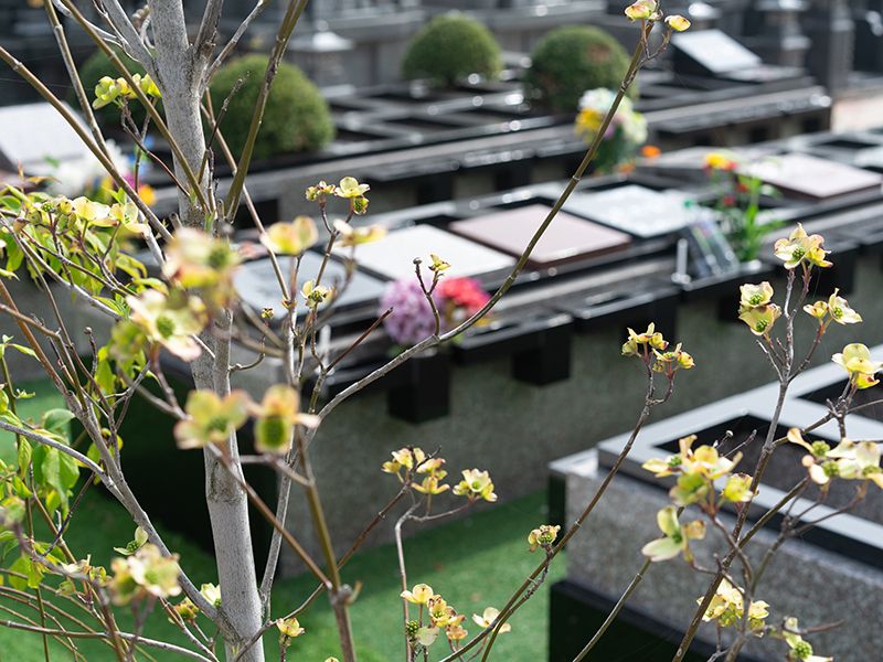 ひびき灘公園墓地