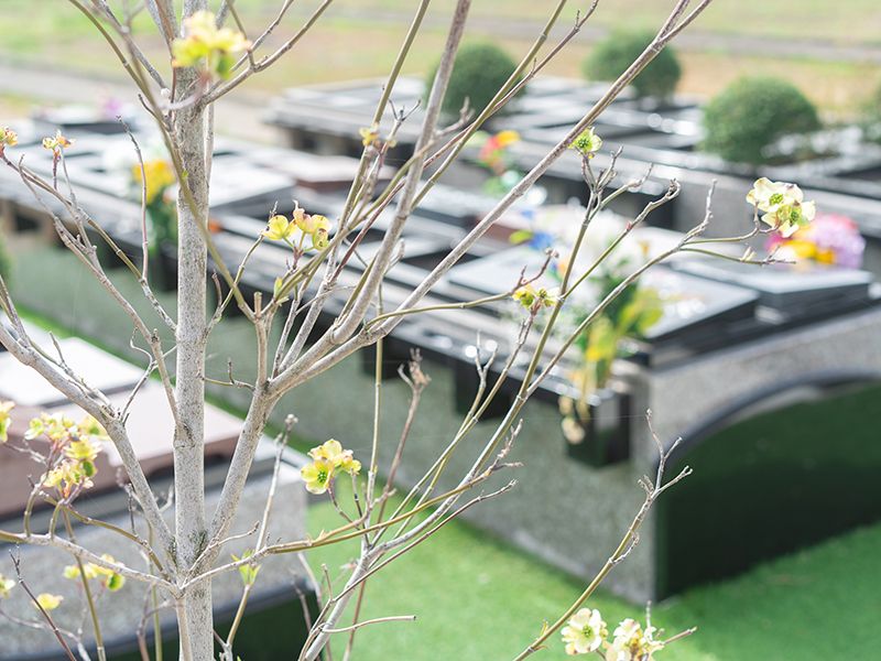 ひびき灘公園墓地