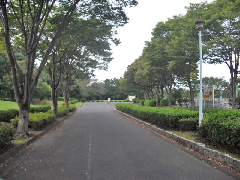 水戸市浜見台霊園