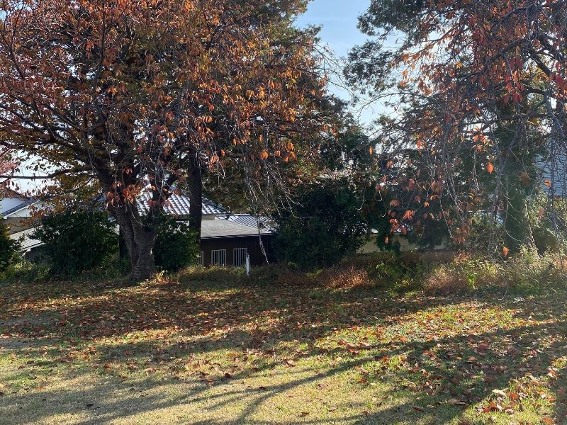 法雲寺 永代供養墓