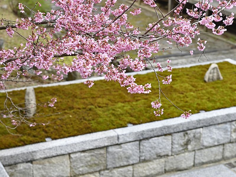 月眞院