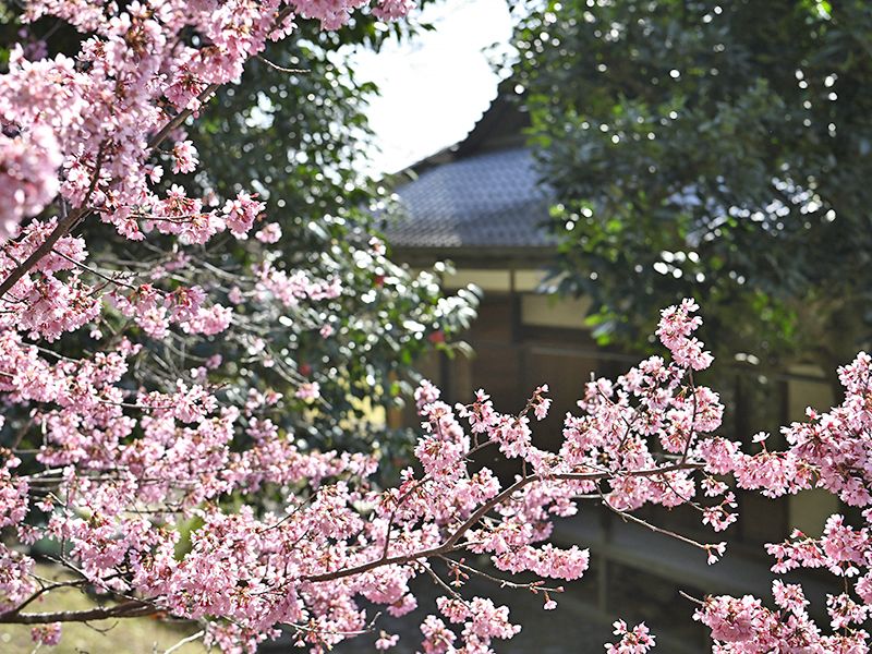 月眞院