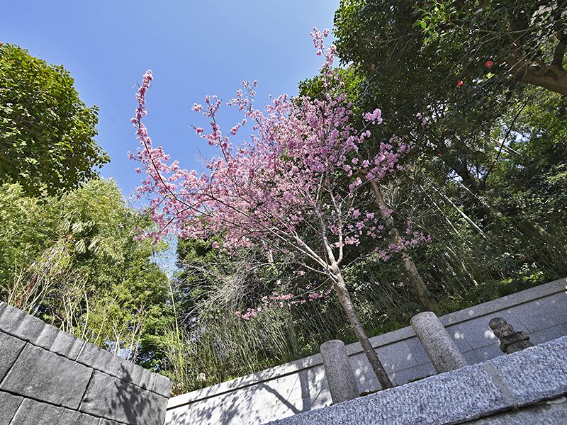 月眞院
