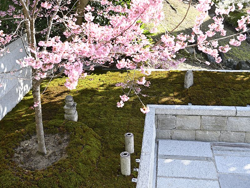 月眞院