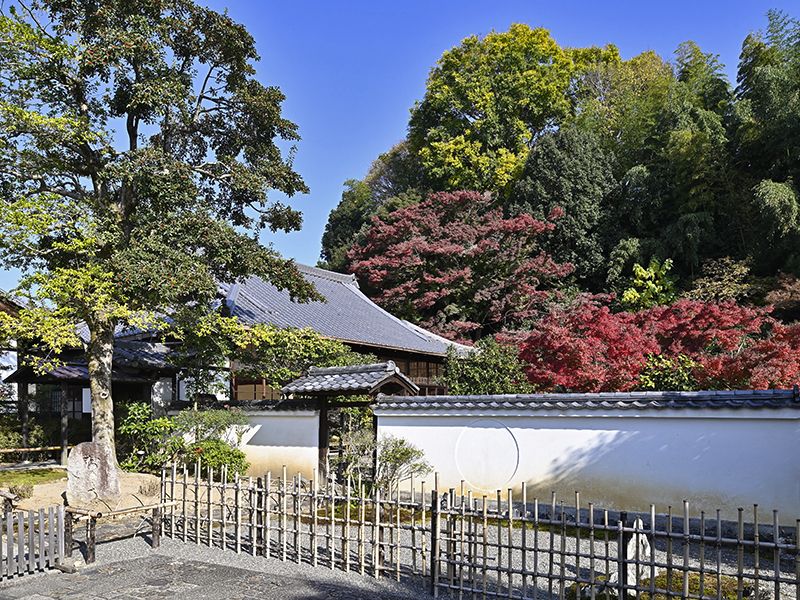 月眞院