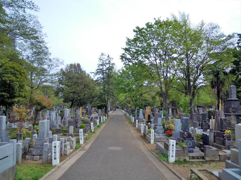 都立 雑司ヶ谷霊園 一般墓
