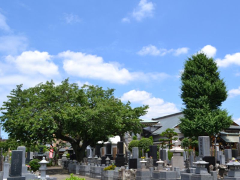 真明寺