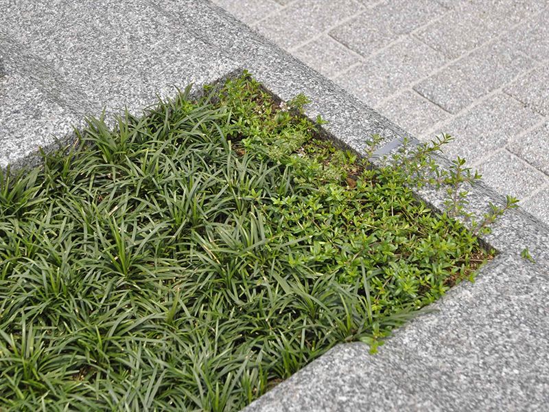 メモリーガーデン久喜清久霊園