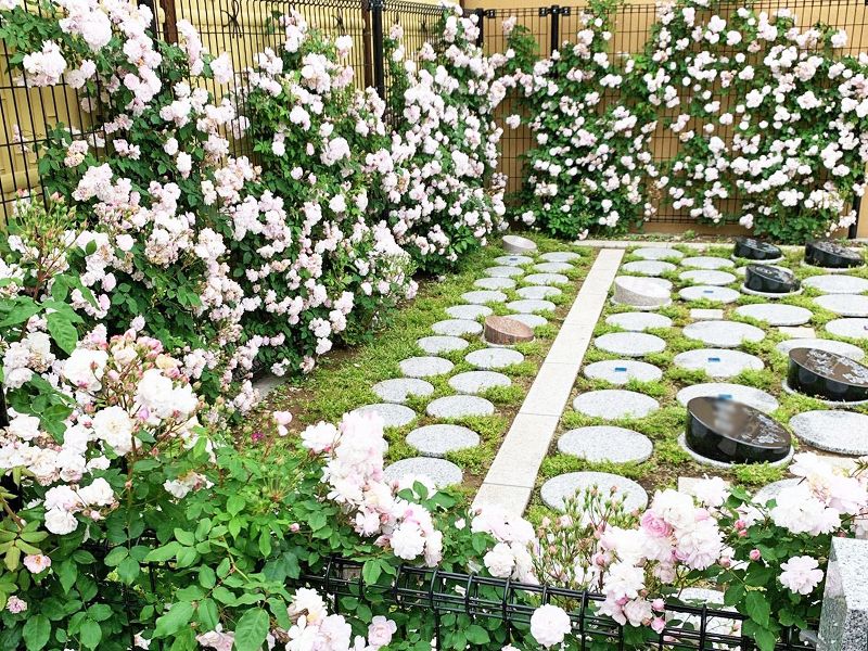 神楽坂 あかぎガーデン