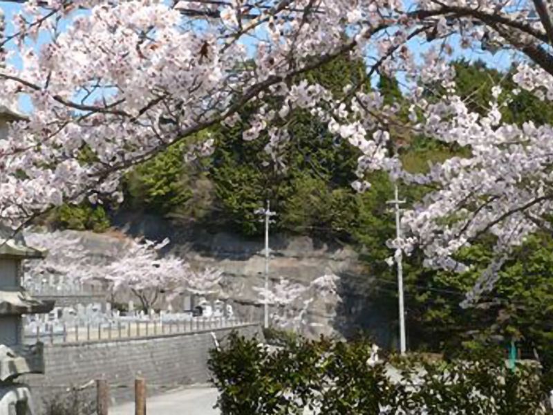 亀山霊苑