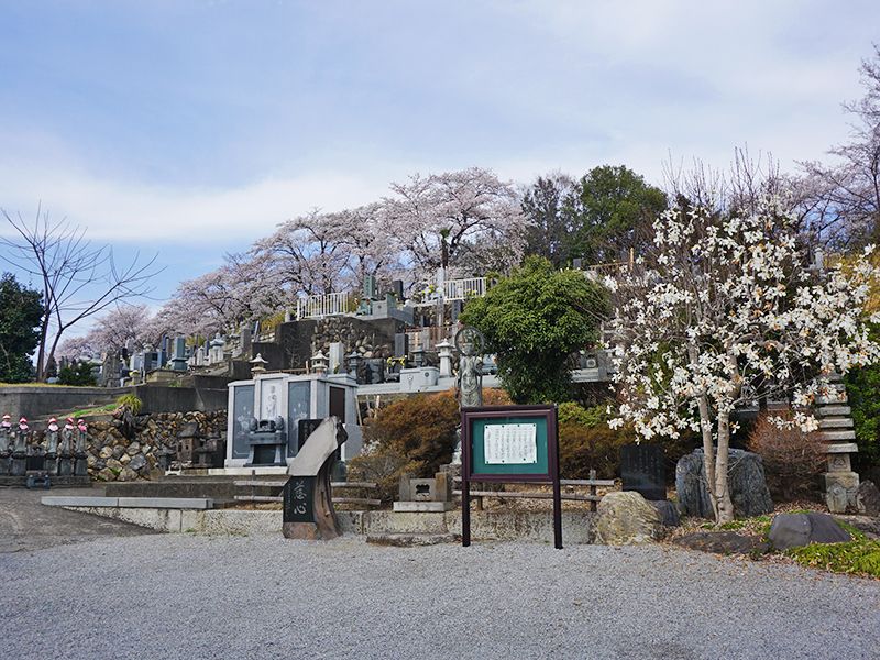 足利 観音寺 永代供養墓・樹木葬