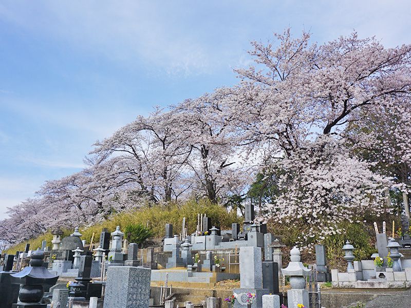 足利 観音寺 永代供養墓・樹木葬