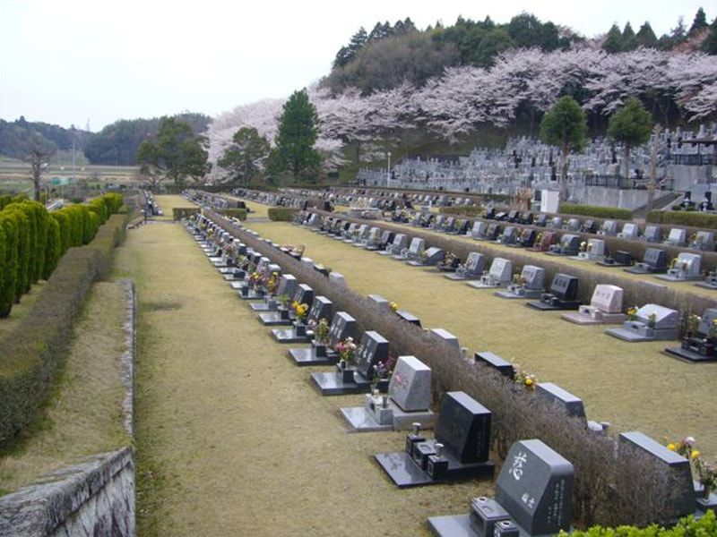 成田市営いずみ聖地公園の雰囲気