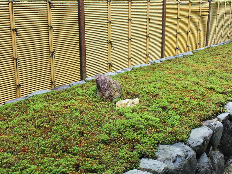 東福寺 荘厳院 樹木葬