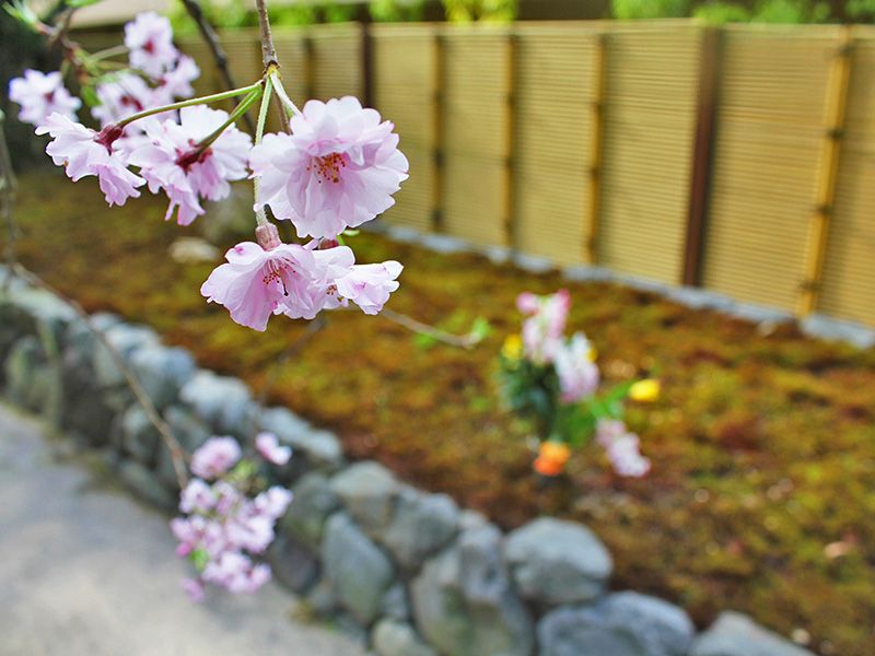 東福寺 荘厳院 樹木葬