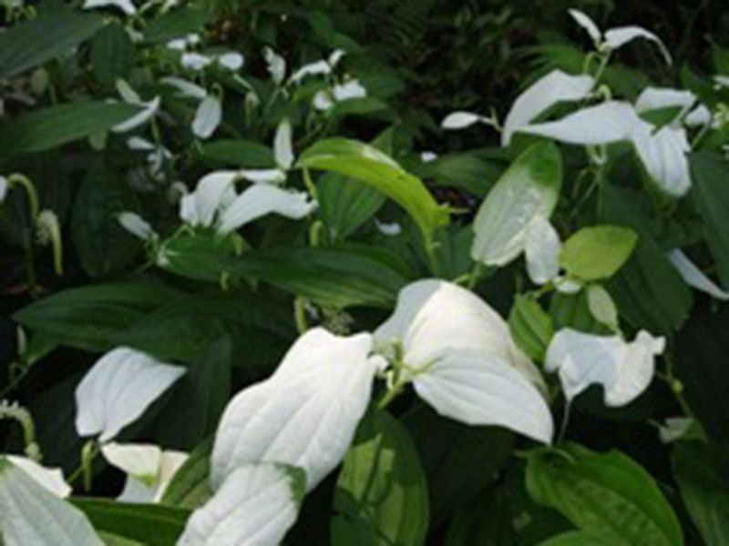 東福寺塔頭即宗院
