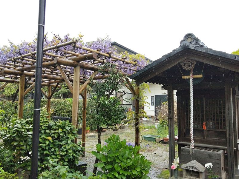 泉福寺 のうこつぼ