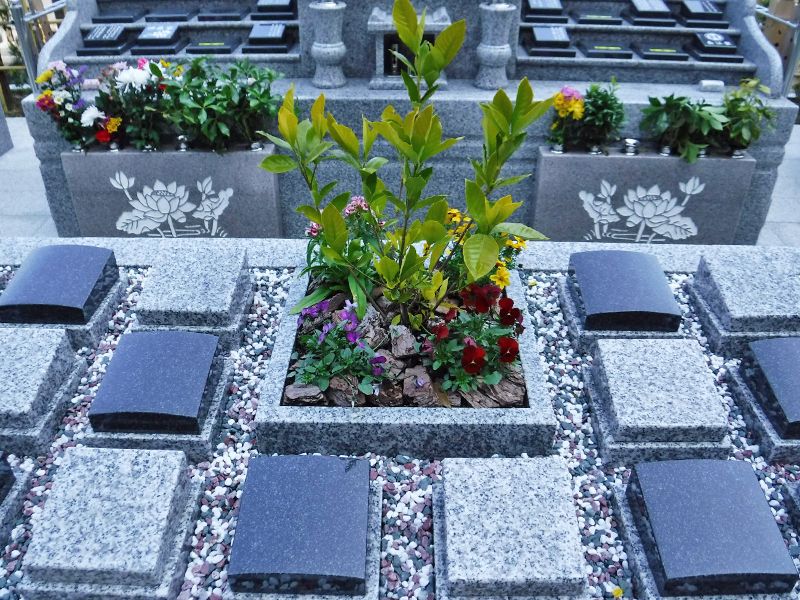 祥雲寺 永代樹木葬