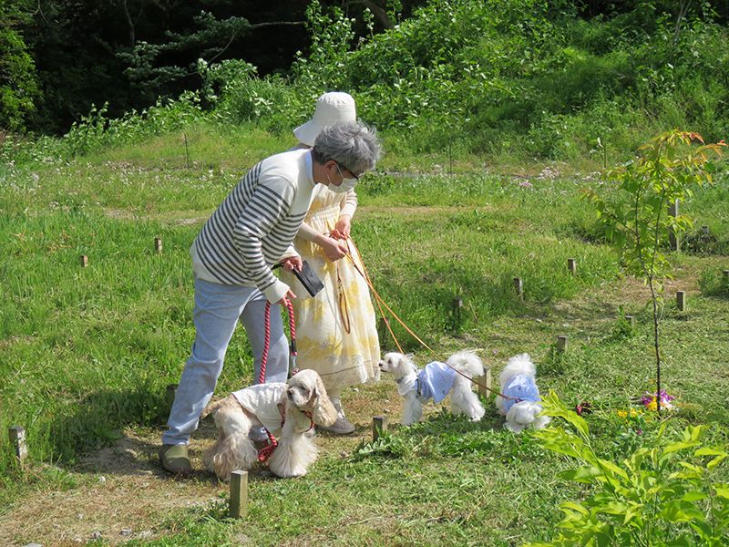 宗旨、宗派は問いません。ペットちゃんとともにお入りいただけます。