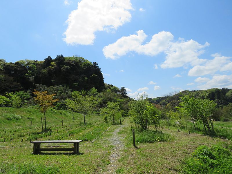 森の墓苑　大草原の中にあるベンチ