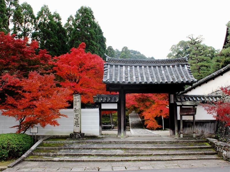 酬恩庵一休寺の秋の総門風景
